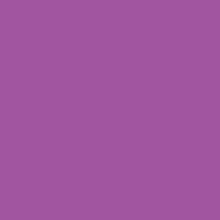 V546 Purple Promarker