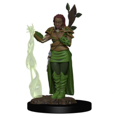 D&D Icons of the Realms Premium Figures: Human Female Druid (painted)